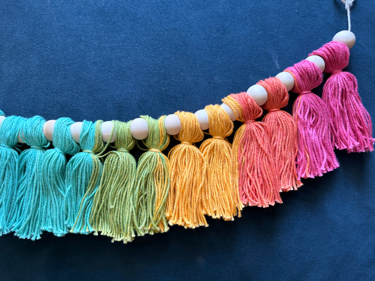 Vibrant Hues Rainbow Tassel Garland